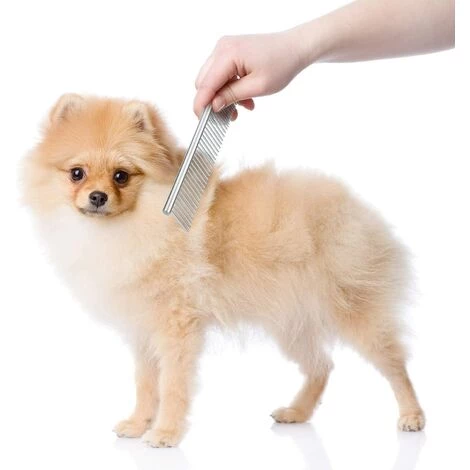 Peigne D'Animaux De Compagnie En Acier Inoxydable Peigne De Toilettage D'Animaux De Compagnie Peigne De Chiens à Dents Rondes Pour Chiens Et Chats Avec Cheveux Emmêlés Macaron – Image 3