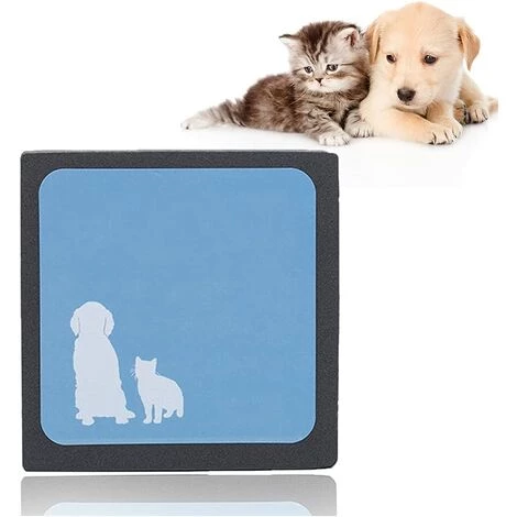 Épilateur Pour Animaux De Compagnie,Mini Brosse Anti Poils Animaux Chat Chien Brosse Ramasse Enlève Poils,pour Enlever Les Poils D'animaux Du Canapé,du Lit Et Des Tapis,Irisfr